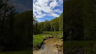 Мельничный ручей. Поход по Изборскому кольцу. #nature #природа