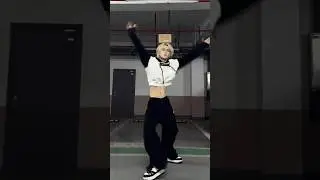 Stray kids - Mountains @StrayKids | Dance Cover #straykids #mountains #ate #dance #kpopdance