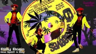 Billy Boyo - One Spliff A Day 12