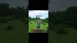 my girlfriend is NOT allowed to play minecraft anymore