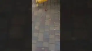 Играем в индейцев! 2 часть
