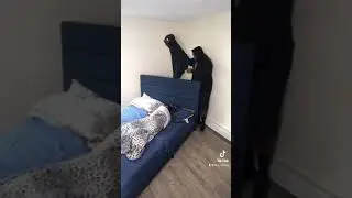 Purge Scare Prank On My Girlfriend... **GONEWRONG!!** 😂 