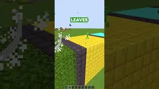MINECRAFT: CREEPER CAN DESTROY BLOCKS...🤔 WAIT FOR END😍 #minecraft #shorts