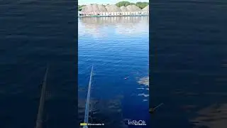 Летом на реке