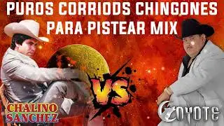 Chalino Sanchez - El Coyote || Puros Corridos Mix 2023 - Puros Corridos Chingones