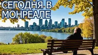 Монреаль сегодня