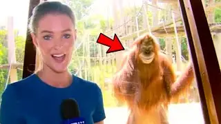 Best News Bloopers 2023