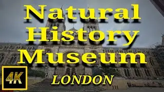 [4k]  🇬🇧 Natural History Museum London 2024- Inside the most impressive History Museum