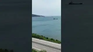 Live море 