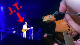 Dabchick saw James Taylor!