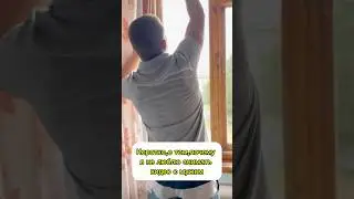 #юмор #семья #декрет #shorts