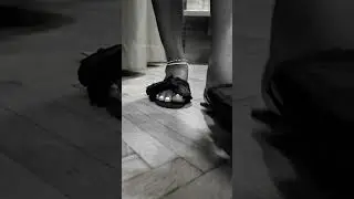@zara shoes @ugc 