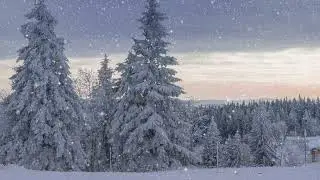 Winter Snow Ambience | Winter Ambient with Relaxing Music - Beautiful nature - Snow background video