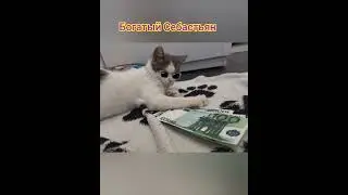 Себастьян и костюмы
