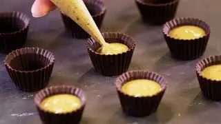 Discover the Hotel Chocolat Tasting Club