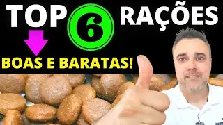 TOP 6 RAÇÕES BOAS E BARATAS! ✅Só as melhores rações para cachorro!