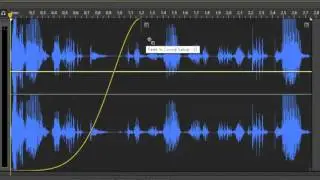 Basic Raw File Edit on Adobe Audition CS61