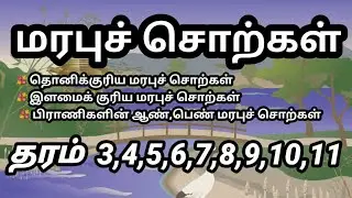 மரபுச் சொற்கள் | மரபுப் பெயர்கள் | தமிழ் இலக்கணம் | grade 3 to 11 tamil | மரபுத்தொடர்கள் | grade 5