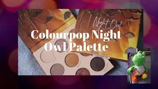COLOURPOP NIGHT OWL REVIEW + SWATCHES *LIMITED EDITION*