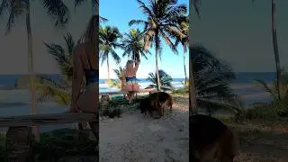 Relaxing Beach Alagoas Brazil ASMR