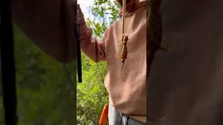А что самое необычное ловили вы? 