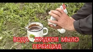 НОУ-ХАУ. Точечная борьба сорняками.