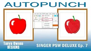 How to Automatically Create Embroidery Designs with PSW Deluxe: Autopunch