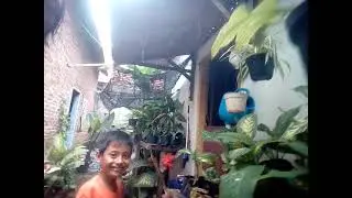 ngabuburit di kebun bunga disamping rumah bersama bocil alkafi