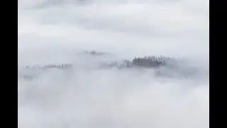 Reel video