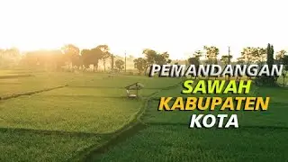 PVideo Aerial Pemandangan Sawah di Batas Kota Kabupaten Blitar - Stock Video Footage Drone Aerial