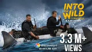 Things Are Getting WILD Out Here! | Into The Wild With Bear Grylls Ft. Ajay Devgn | discovery+