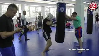 Сборы КУДО 2018. Общий анонс