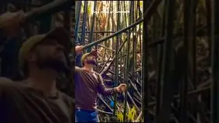 Ultimate Bamboo Survival Shelter #survivalvideos