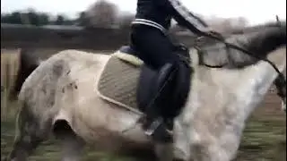 Разминочные  прыжки