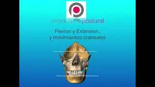 flexestension