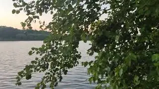 Обзор нижнего царицынского пруда Москвы