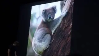 NVIDIA's Deep Learning on object classfication visualized