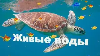 Живые воды (Господь усмотрит, не тужи!) - Христианские песни - 536