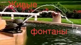 Живые фонтаны