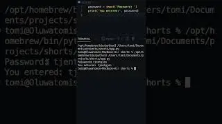 How to hide user input in Python