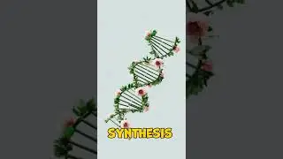 How Antibiotics Works (watch till the end)