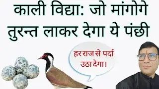 काली विद्या..जो मांगोगे तुरन्त लाकर देगा ये पंछी/ हर राज से पर्दा उठा देगा/