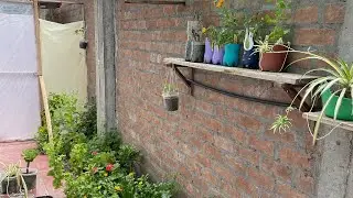 Así terminé mi jardín/huerta