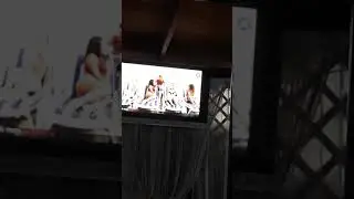 Повний песець.