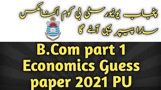 B.Com part 1 Economics guess paper 2021 | pu economic guess paper b.com
