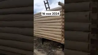 16 мая 2024 