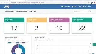 PMG HR Case Management