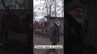 Года как вода 