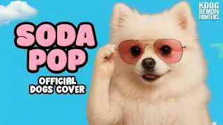 SODA POP x DOGS (Official Version)