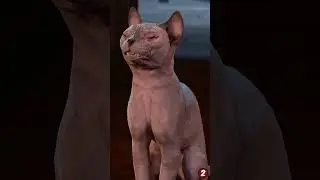 King of cats ! #Baldursgate3